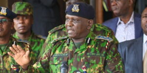 Justice Mwita Throws Out IG Kanja Application Over Abduction of Kitengela 3